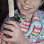 SONY DSC Eve with a chick