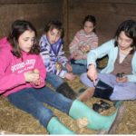 SONY DSC Taming the baby chicks