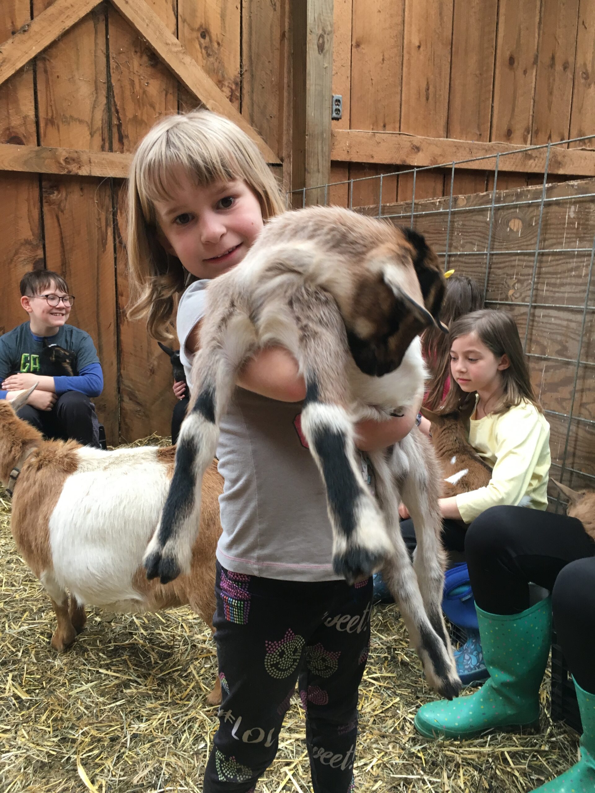 Little Brook Farm » Farm camp